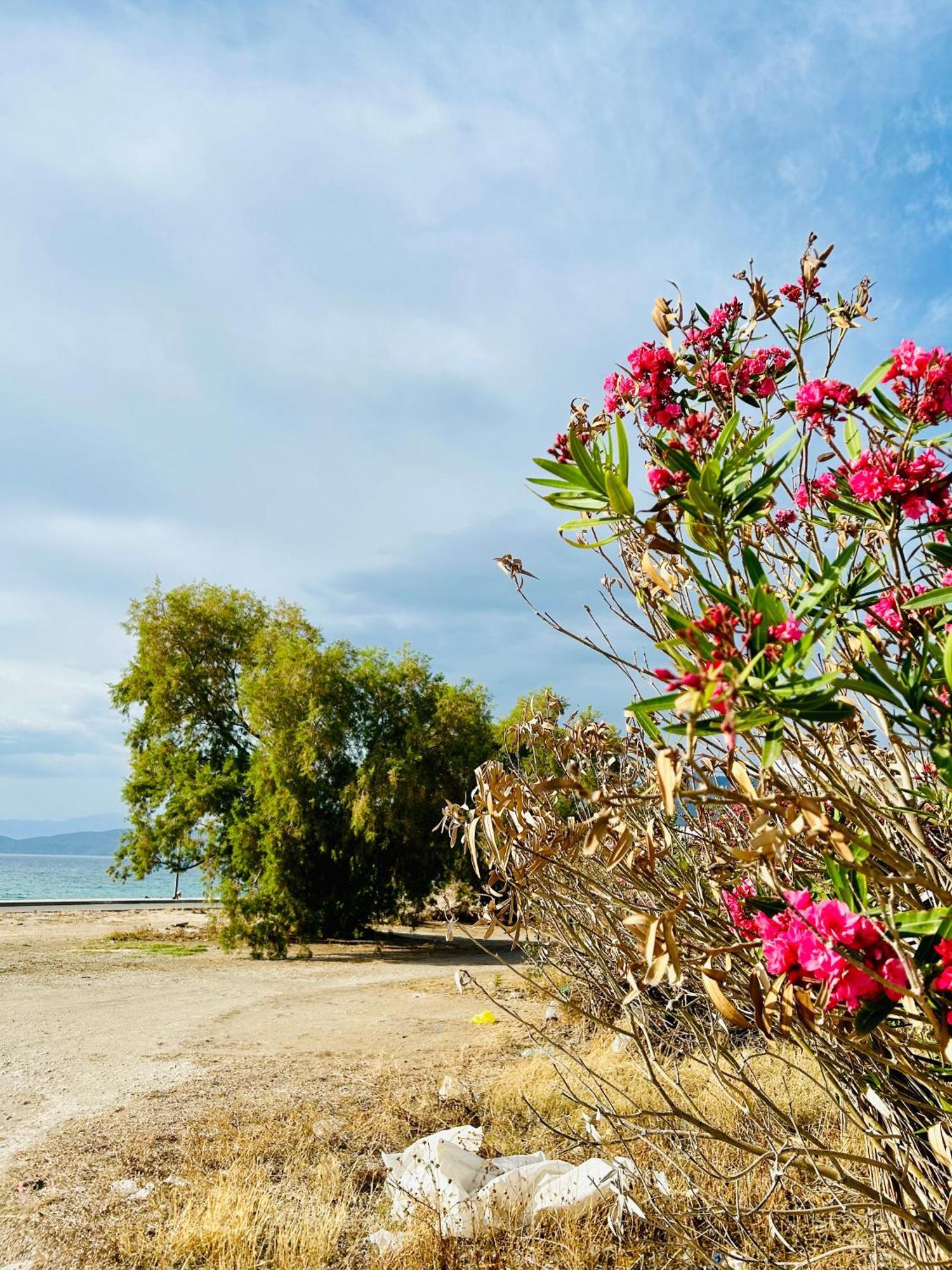 Marina'S Seacret Apartment Corinth Exterior foto